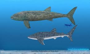 Di bawah ini adalah 10 jenis ikan hiu terbesar di dunia. 5 Fakta Leedsichthys Ikan Terbesar Yang Pernah Hidup Di Bumi