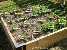 Square Foot Herb Gardening Cheat Sheet