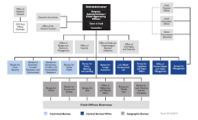 Appendix A Organizational Chart For Usaid The Role Of