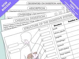 Digestion is a complex process of transforming food you eat into energy you need to survive, as well as, creating waste to be eliminated from the body. Gcse Biology Digestion Topic Resource Pack Updated Teaching Resources