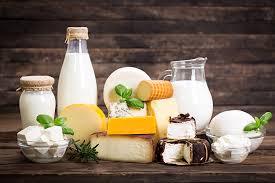 Quality control of milk and dairy products at the speed of light - New Food  Magazine