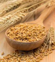 barley jau for health skin