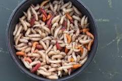 What  happens  if  you  eat  worms  in  nuts?