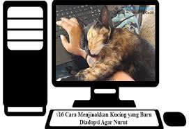 Maybe you would like to learn more about one of these? 16 Cara Menjinakkan Kucing Yang Baru Diadopsi Agar Nurut