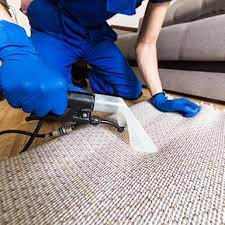 carpet cleaning rino carpet cleaning