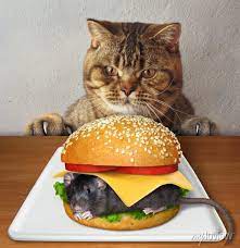 The beige cat wants to eat a big mouse burger from a white square • wall  stickers white, concept, creative | myloview.com