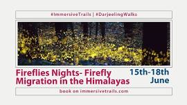 Fireflies Nights- Firefly Migration in the Himalayas