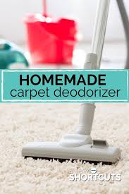 homemade carpet deodorizer a few
