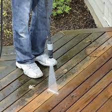 clean mold and mildew from wood decks