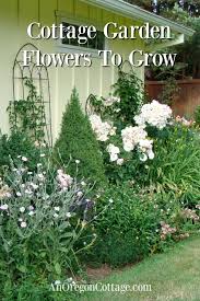 Cottage Garden Flowers To Grow