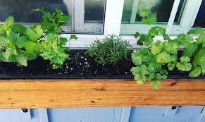 11 Creative Herb Garden In Window Box