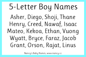 Du kannst es aber auch verwenden, wenn dich jemand fragt wie ein bestimmtes wort geschrieben wird und du sicher gehen möchtest, dass er jeden buchstaben genau versteht. 5 Letter Boy Names Nancy S Baby Names