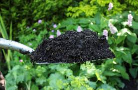 to improve garden soil