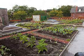 Rooftop Vegetable Garden Greenfuse