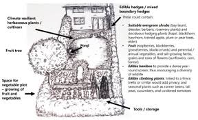 Land Free Full Text Edible Garden