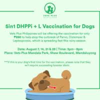 You Can Get The 5 In 1 Canine Vaccination For Only Php250 At