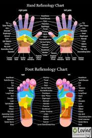 Reflexology Chart Reflexology Essential Oil On Feet