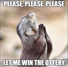 The fastest meme generator on the planet. Please Let Me Win The Ottery Meme In Otter News