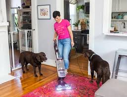 the best cleaning tools to get dog hair