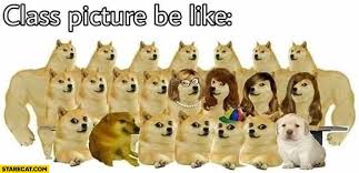 See, rate and share the best doge memes, gifs and funny pics. Class Picture Be Like Dogs Doge Meme Starecat Com
