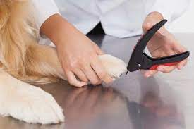 best dog nail clippers for diy dog
