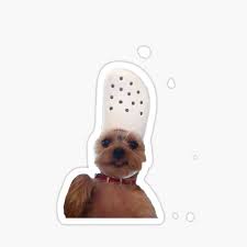 Find the newest dog croc meme. Dog Croc Meme Gifts Merchandise Redbubble