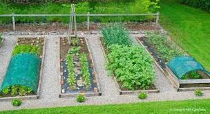 how to arrange vegetable garden beds 5