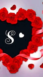 s letter red rose love rose