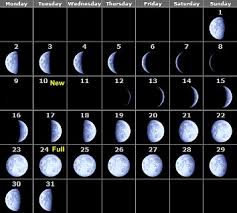Phases Of The Moon Calendar 2010 Month By Month