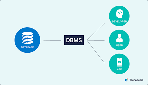 what is a dbms uses types components