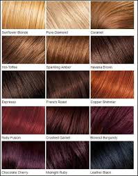 Loreal Color Chart Different Blonde Brown Red Dark Hair