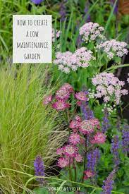 How To Create A Low Maintenance Garden