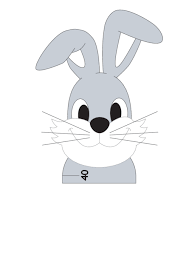 Bunny Height Chart Kidspressmagazine Com