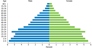 Image result for the christmas tree population pyramid