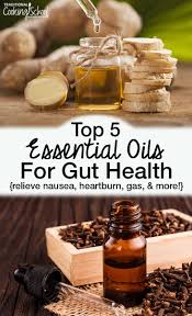 top 5 essential oils for gut health