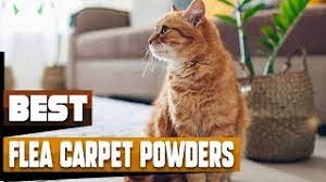 best flea carpet powder in 2023 top