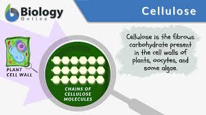cellulose definition and exles