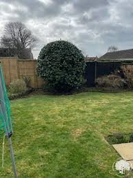 landscaping garden maintenance in