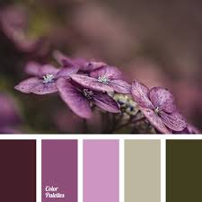 Gray And Purple Color Palette Ideas