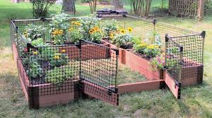 Animal Barrier Raised Garden Bed