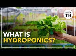 all about hydroponics you