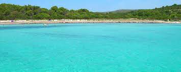 Croatia sakarun beach unreal beautiful 1st beach. Sakarun Sandstrand Dugi Otok Unterkunft Und Appartements In Der Nahe Direkt Kroatien De
