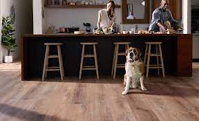 best flooring for dogs