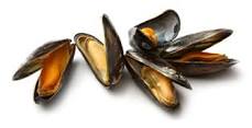 How do you tell if mussels are cooked?