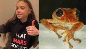 Newly discovered frog named after Swedish climate activist Greta Thunberg