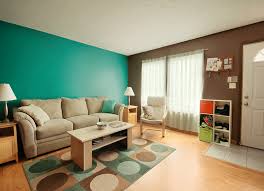 17 teal and brown living room ideas