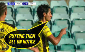 wellington phoenix