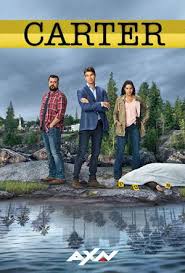 best canadian comedy tv shows