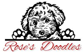 Sales tax will be applied to all puppy sales. Roses Doodles The Best Dog In The World