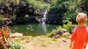 waimea valley waterfall swim self guide